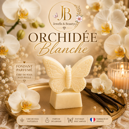 orchidées blanche