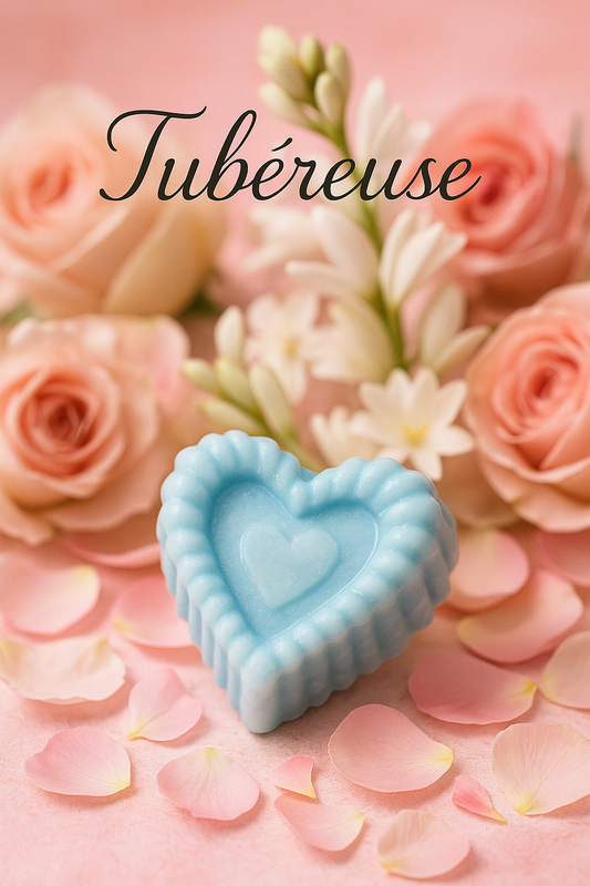 Tubéreuse