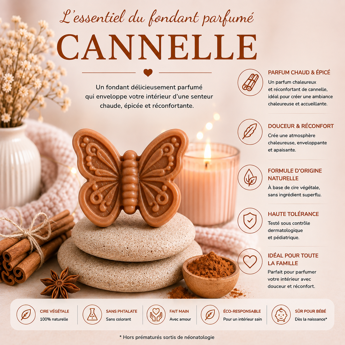 Canelle
